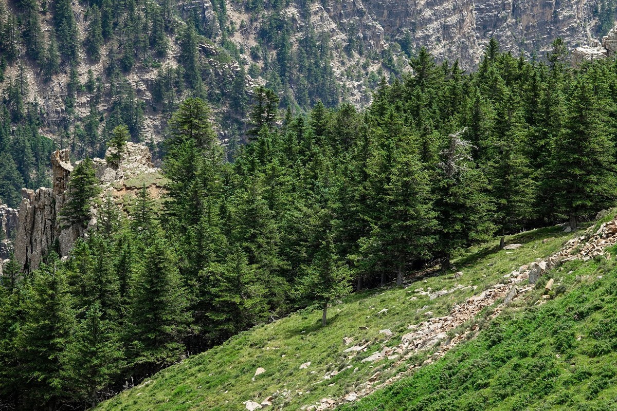 周末攀登贺兰山巴峰（下）