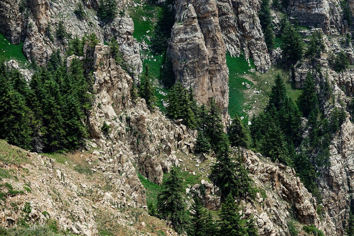 周末攀登贺兰山巴峰（下）