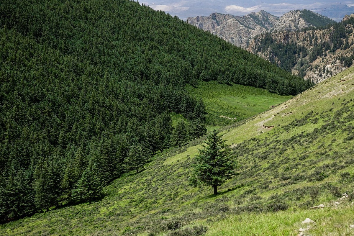 周末攀登贺兰山巴峰（下）