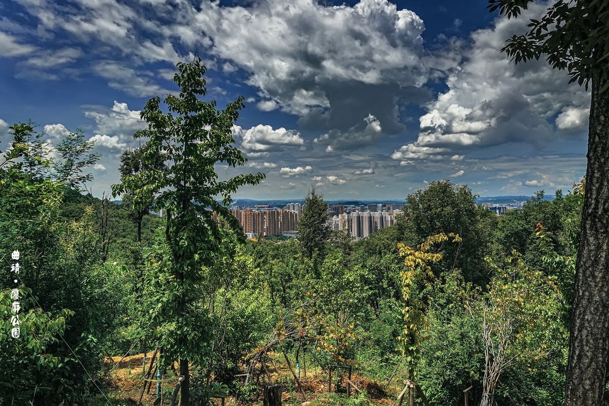 曲靖 · 寥廓公园