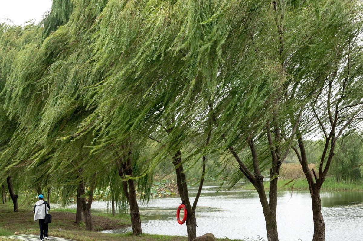 庐州印象（395）三河湿地公园
