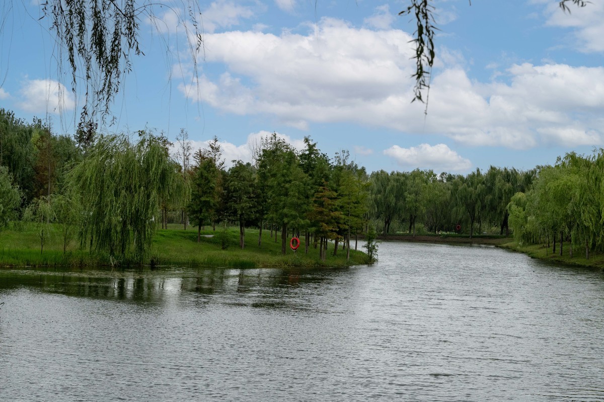 庐州印象（395）三河湿地公园