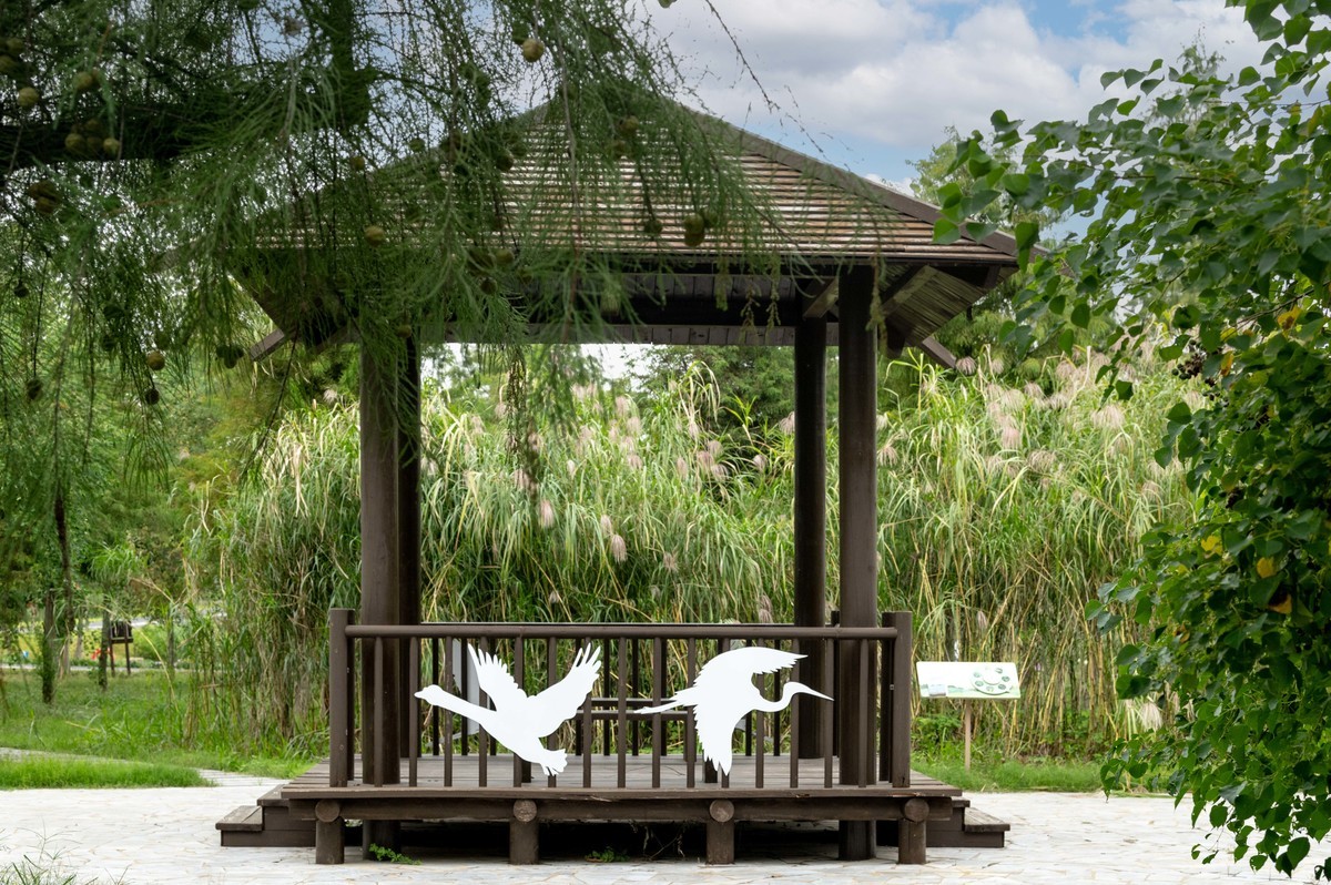 庐州印象（395）三河湿地公园