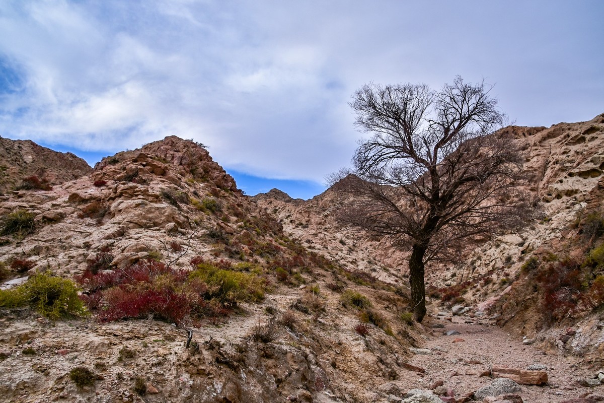 贺兰山里所见！
