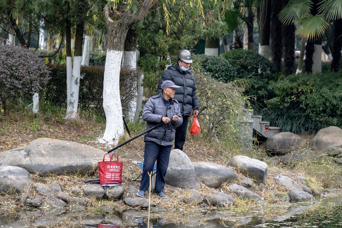 庐州印象（420）望湖城市政公园