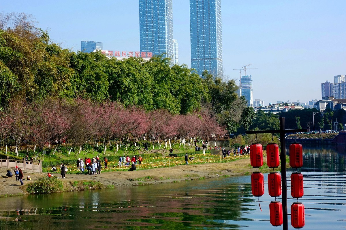 望江河畔风光无限