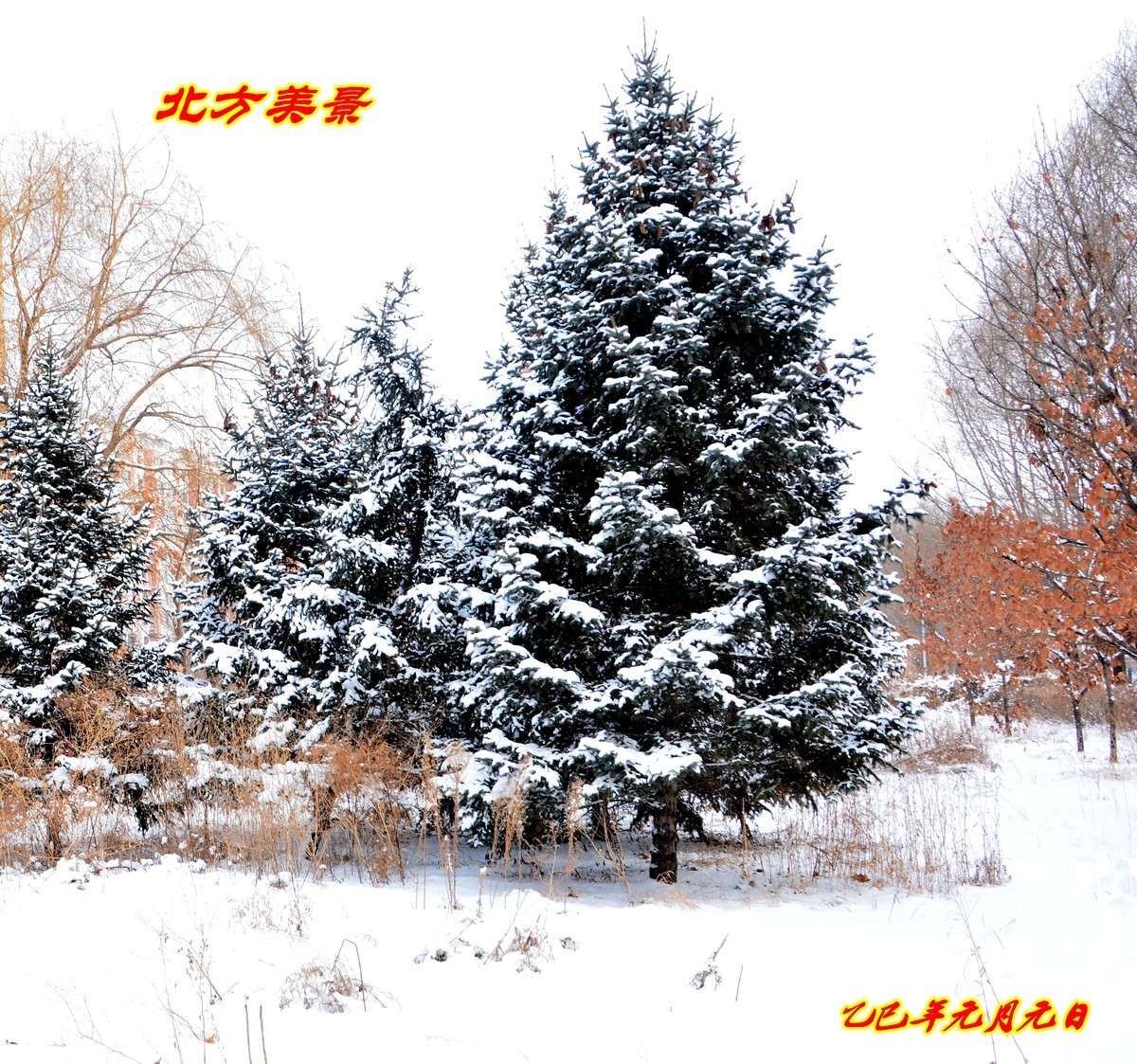 北方美景