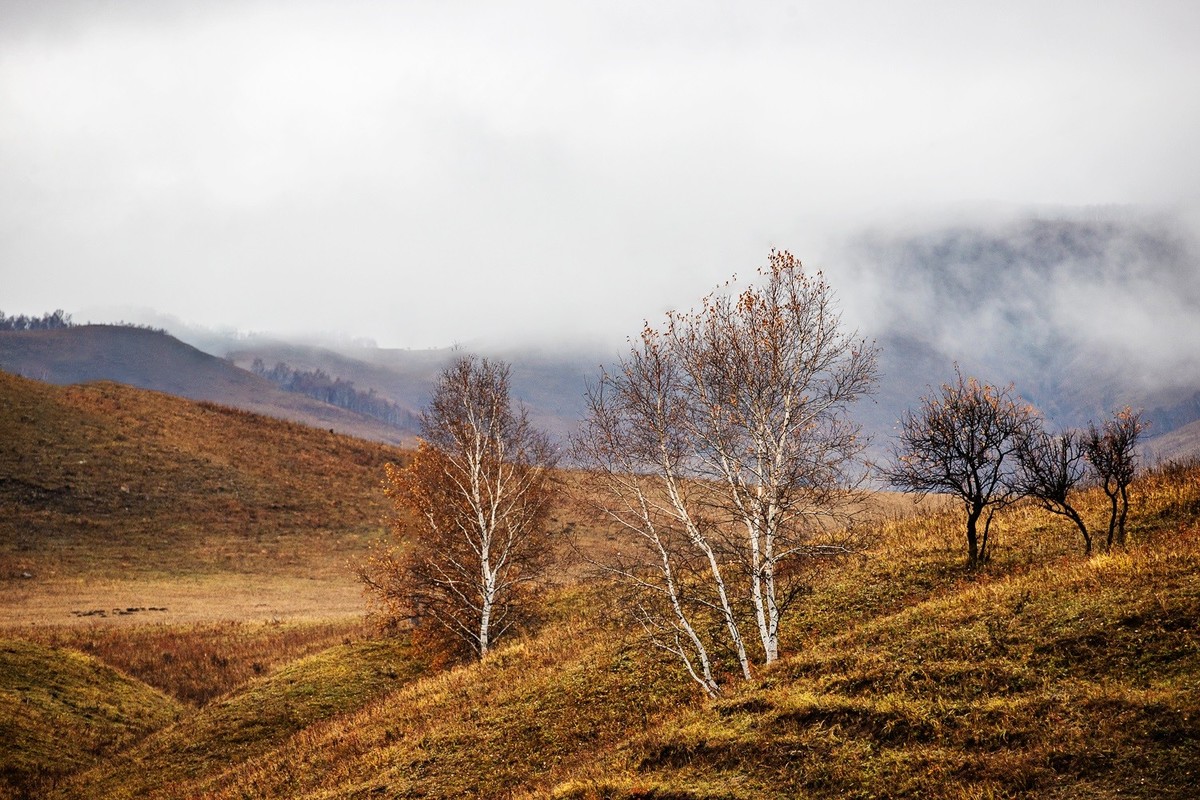 2025，喜乐，顺遂，康健，祥和！