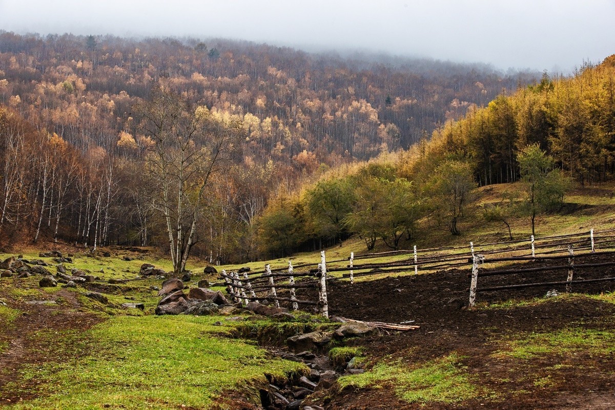 2025，喜乐，顺遂，康健，祥和！