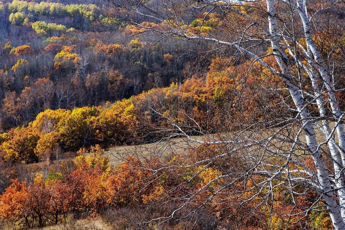 2025，喜乐，顺遂，康健，祥和！