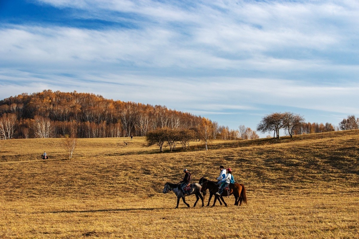 2025，喜乐，顺遂，康健，祥和！