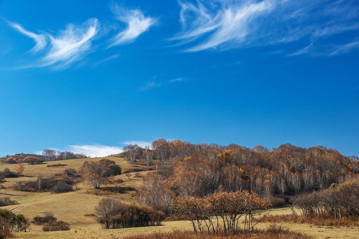 2025，喜乐，顺遂，康健，祥和！