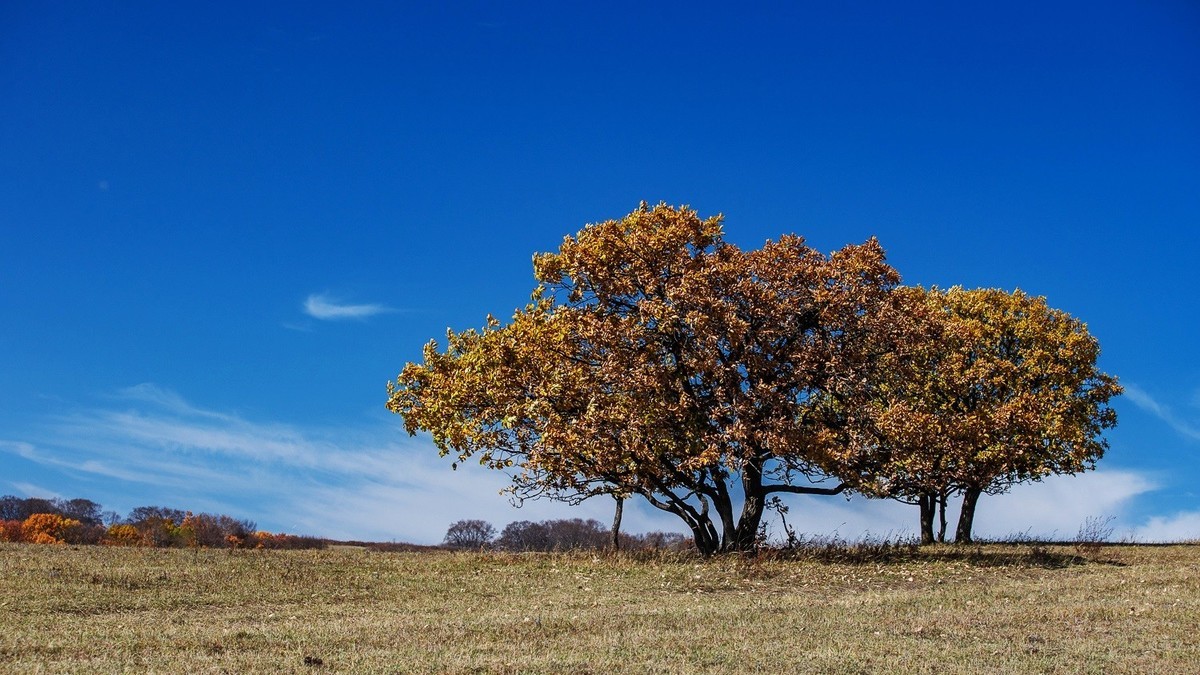 2025，喜乐，顺遂，康健，祥和！