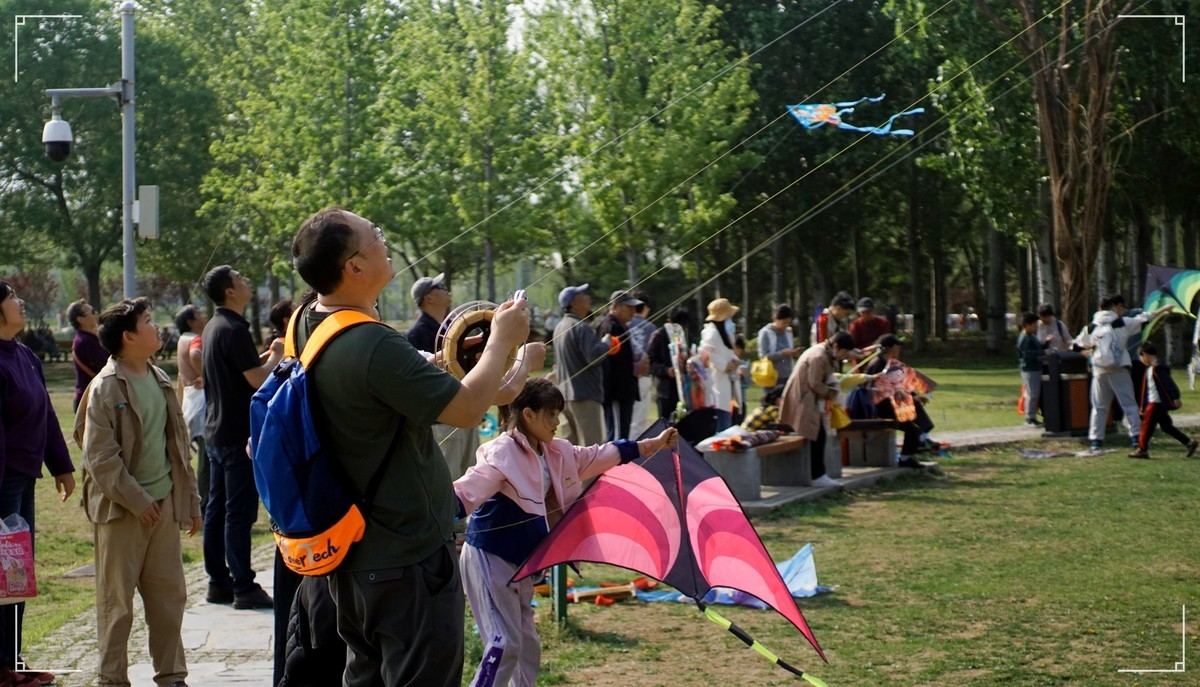 周末的海淀公园真热闹！