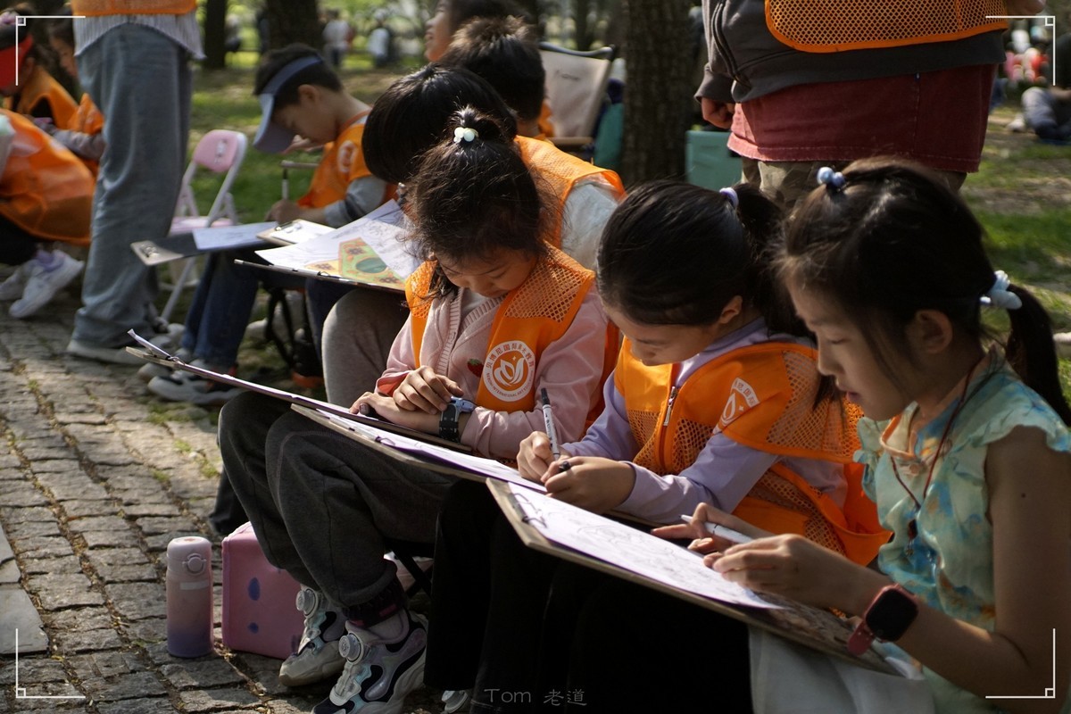 周末的海淀公园真热闹！