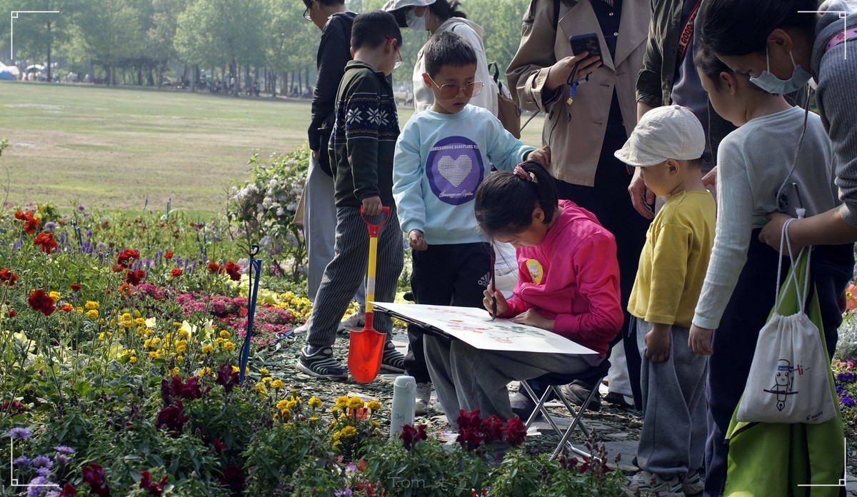 周末的海淀公园真热闹！
