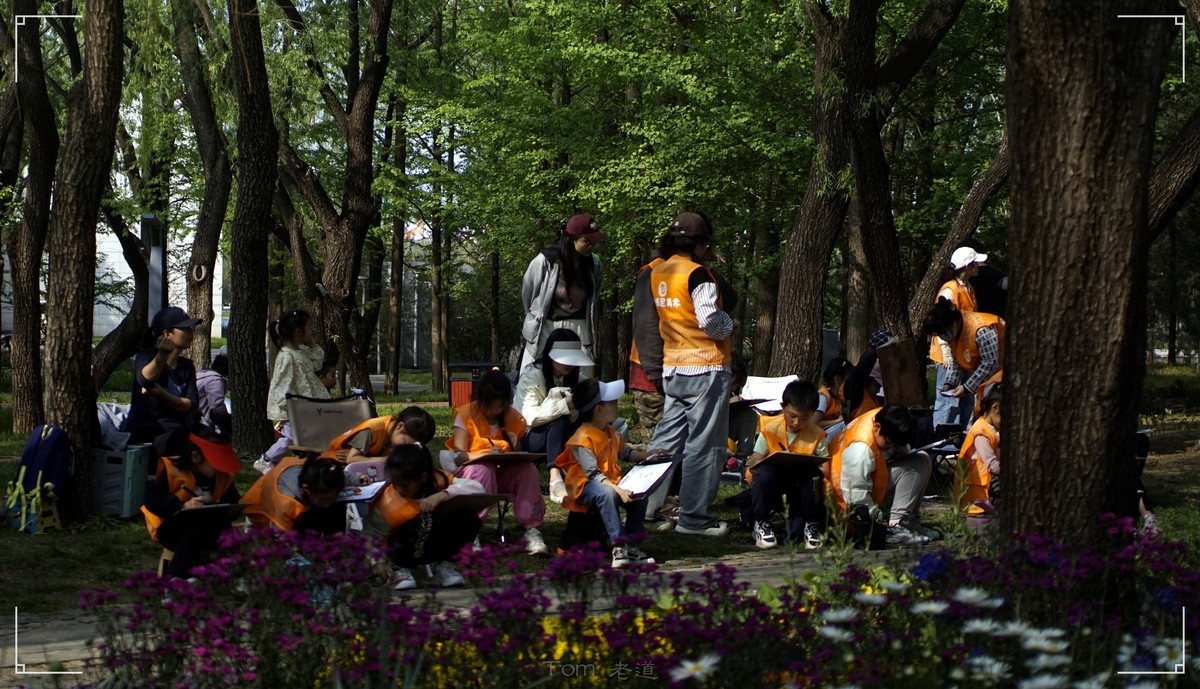 周末的海淀公园真热闹！