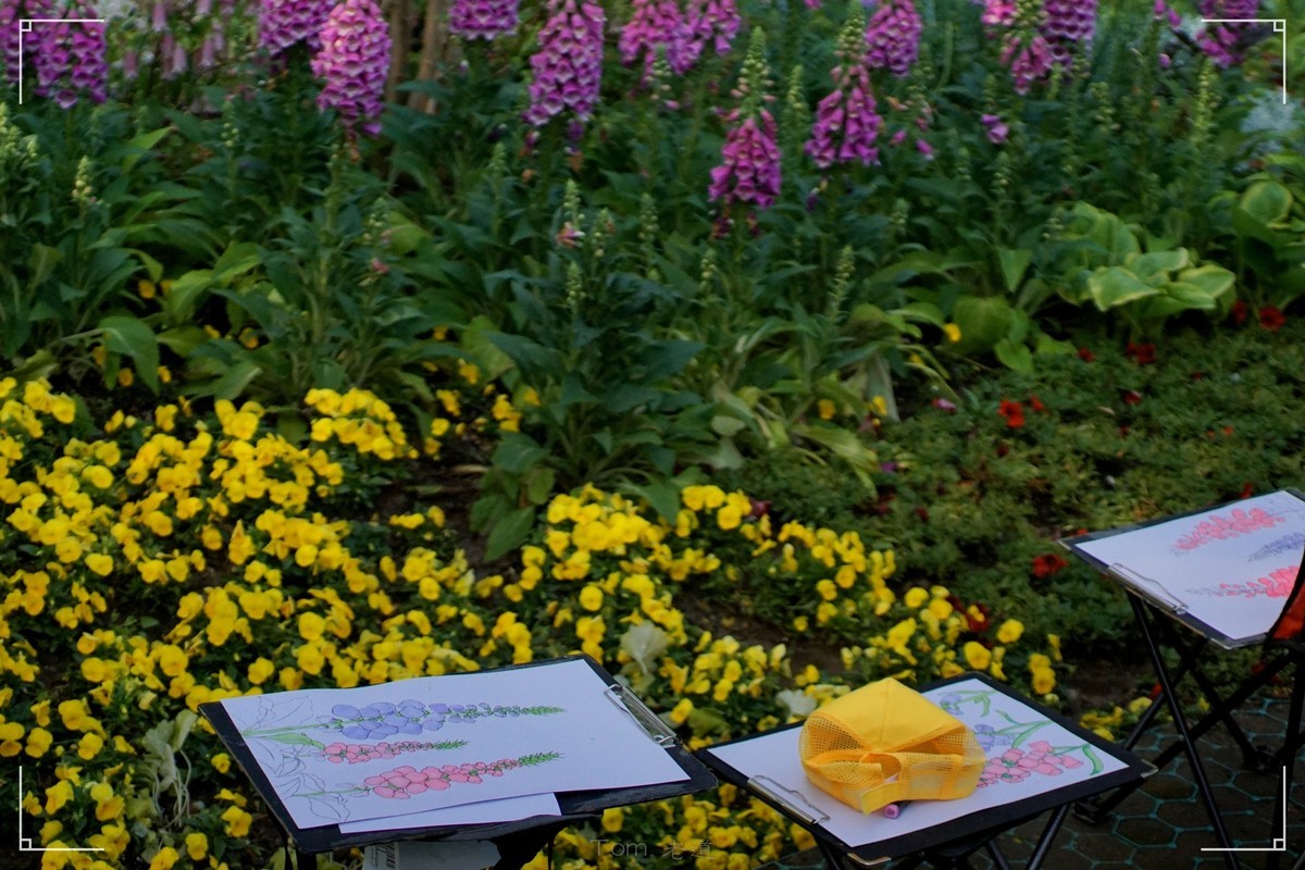 周末的海淀公园真热闹！