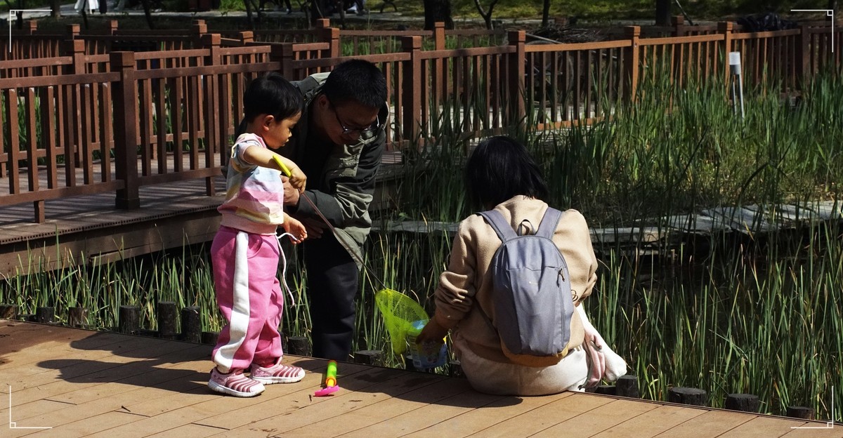 周末的海淀公园真热闹！