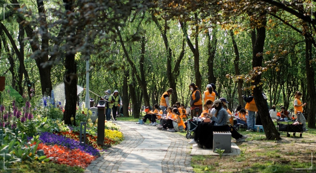 周末的海淀公园真热闹！