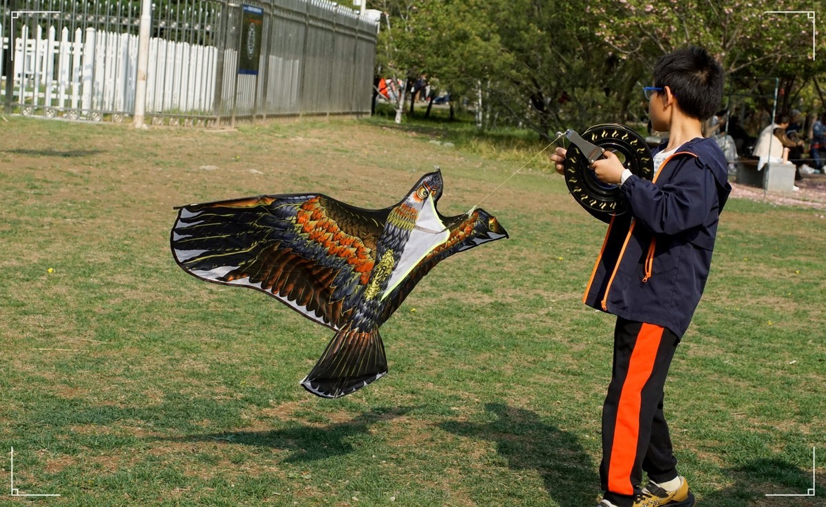 周末的海淀公园真热闹！