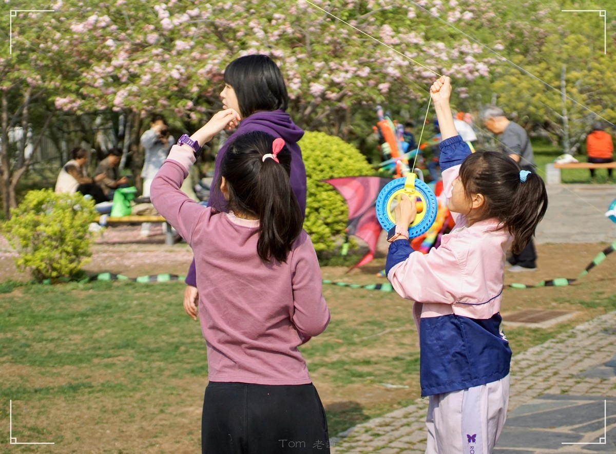 周末的海淀公园真热闹！