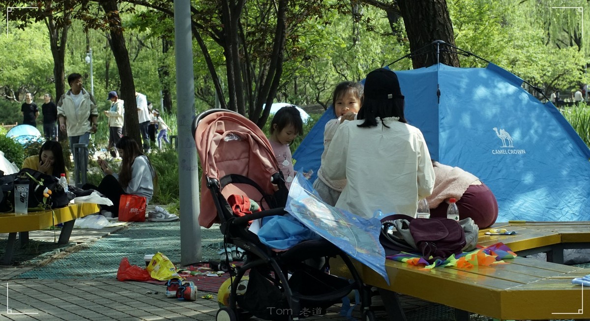 周末的海淀公园真热闹！