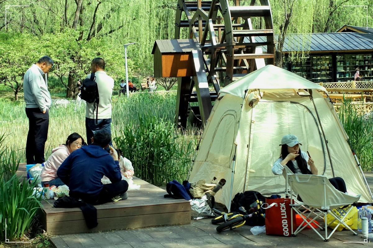 周末的海淀公园真热闹！