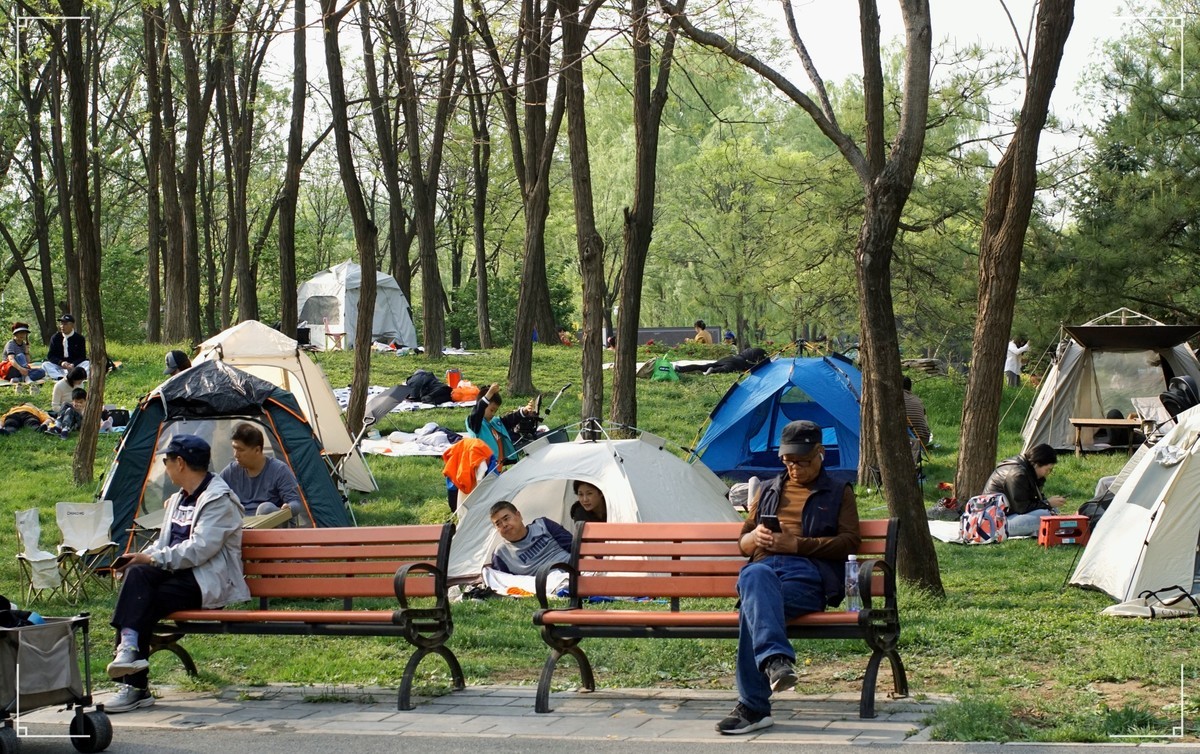 周末的海淀公园真热闹！