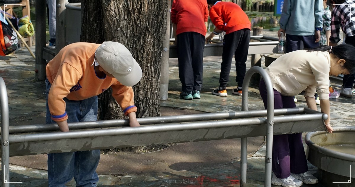 周末的海淀公园真热闹！