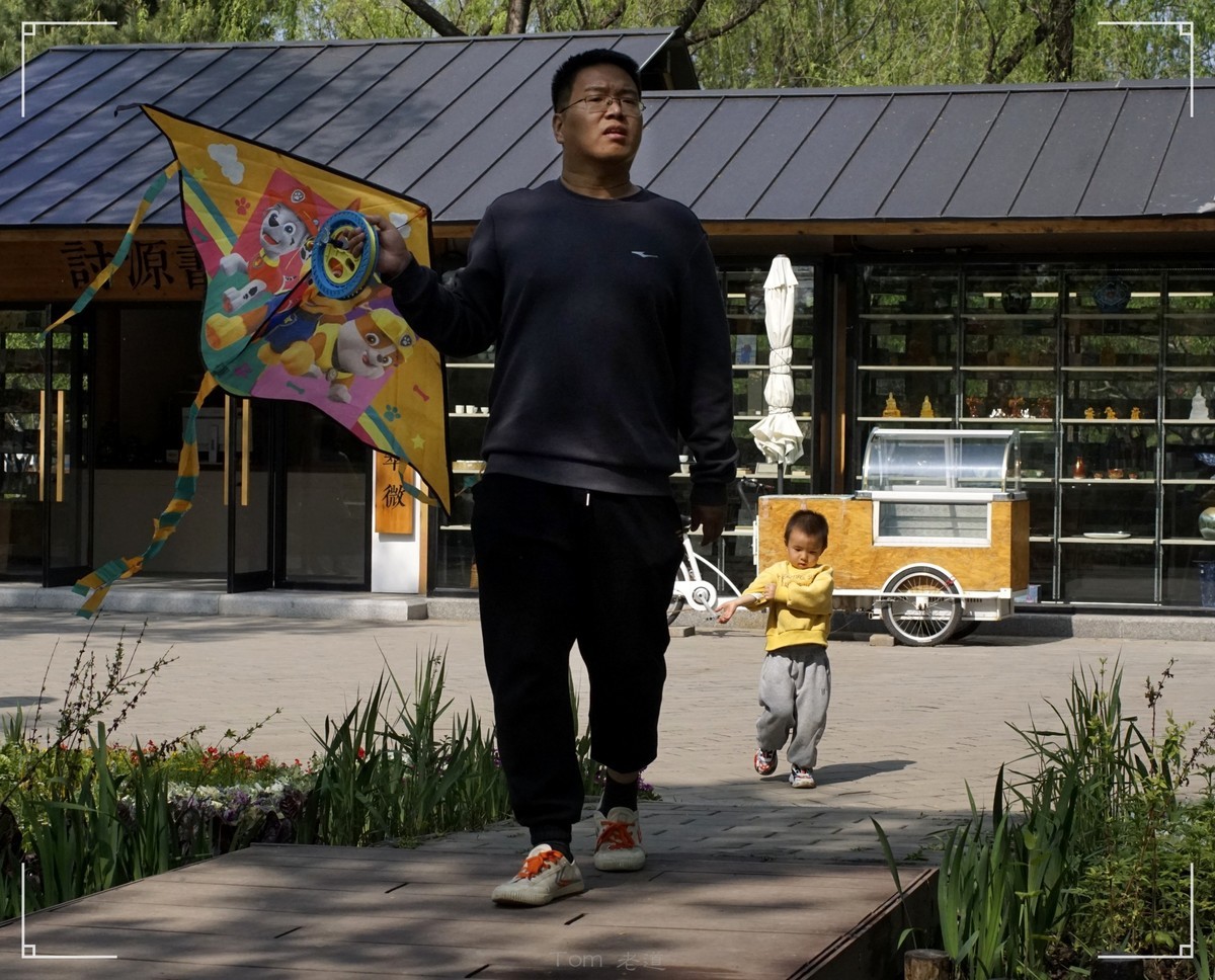 周末的海淀公园真热闹！