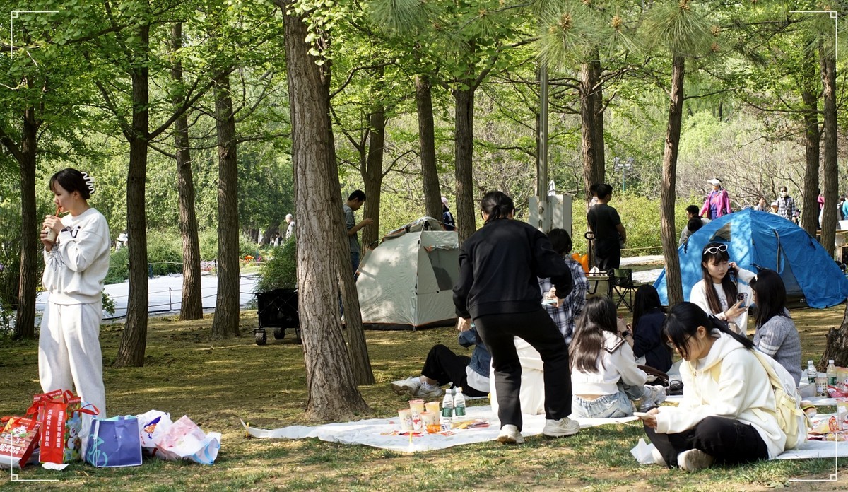 周末的海淀公园真热闹！