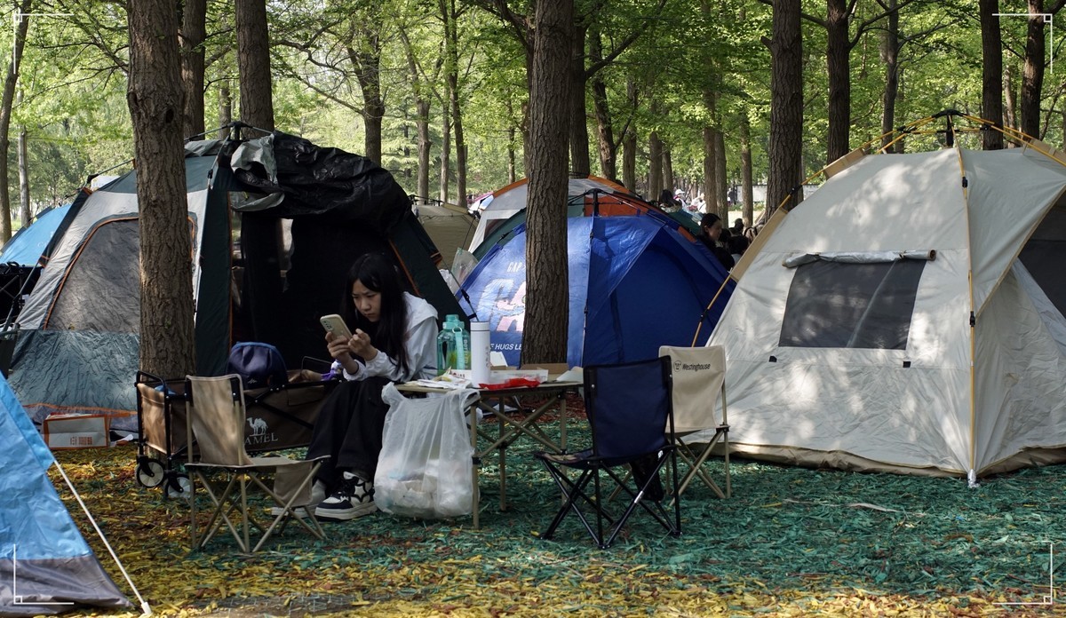 周末的海淀公园真热闹！