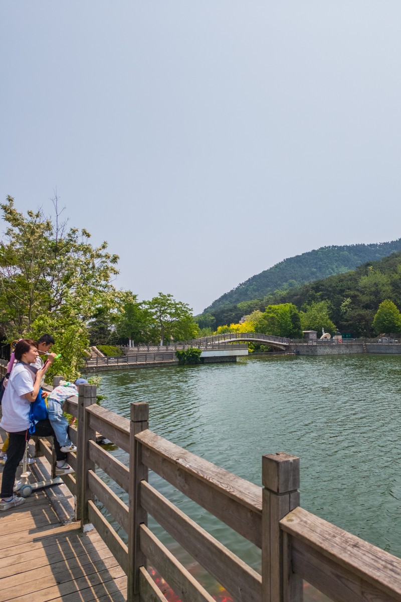 白 云 雁 水 随 拍