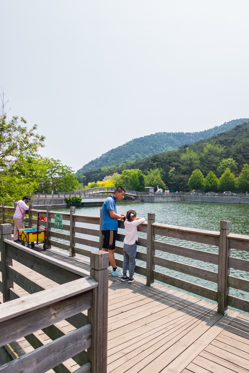 白 云 雁 水 随 拍