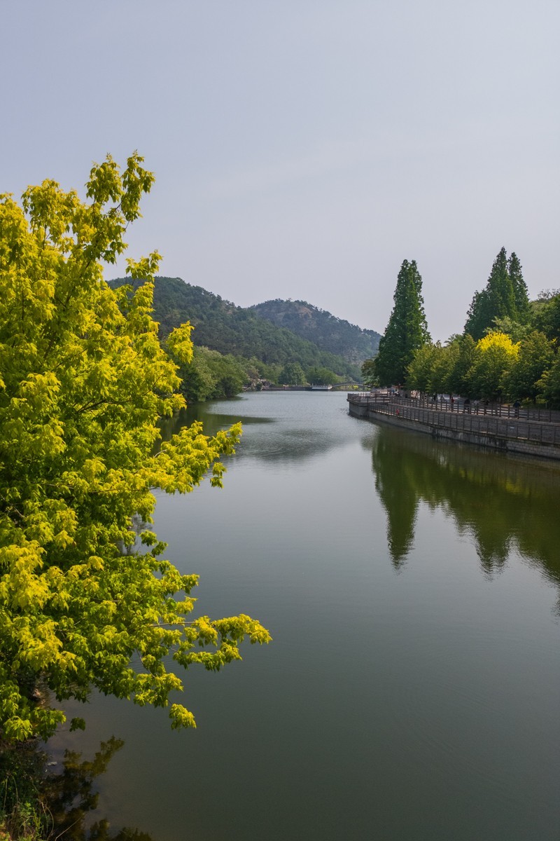 白 云 雁 水 随 拍