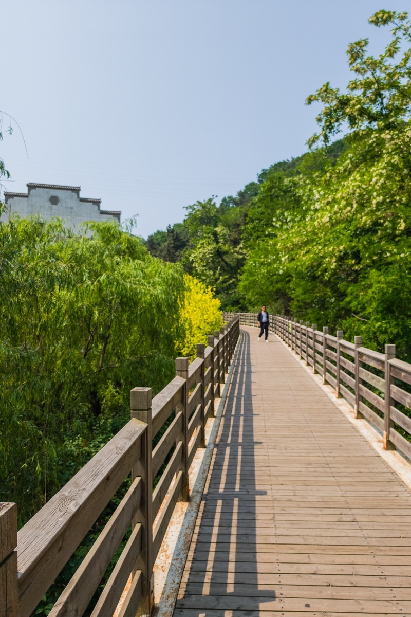 白 云 雁 水 随 拍