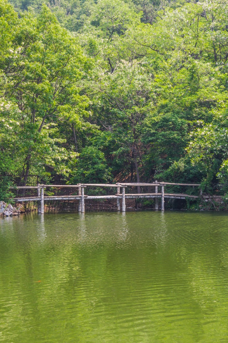 白 云 雁 水 随 拍