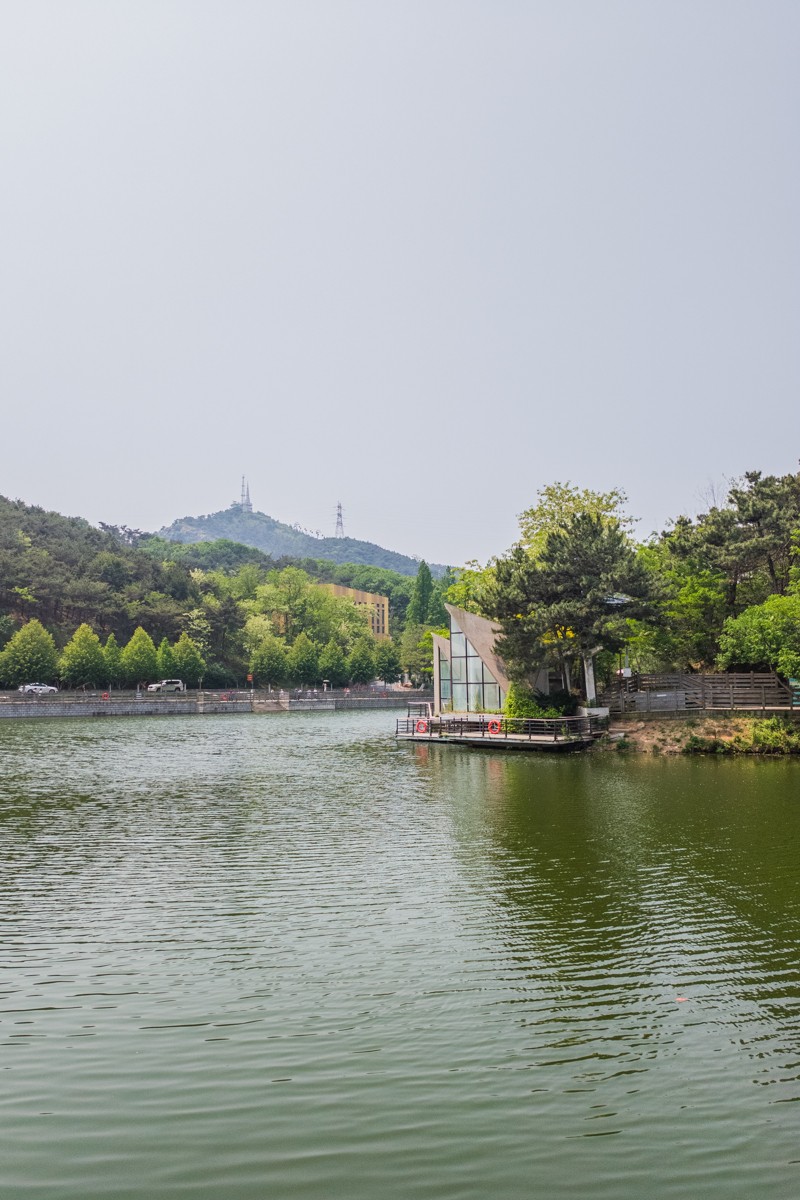 白 云 雁 水 随 拍