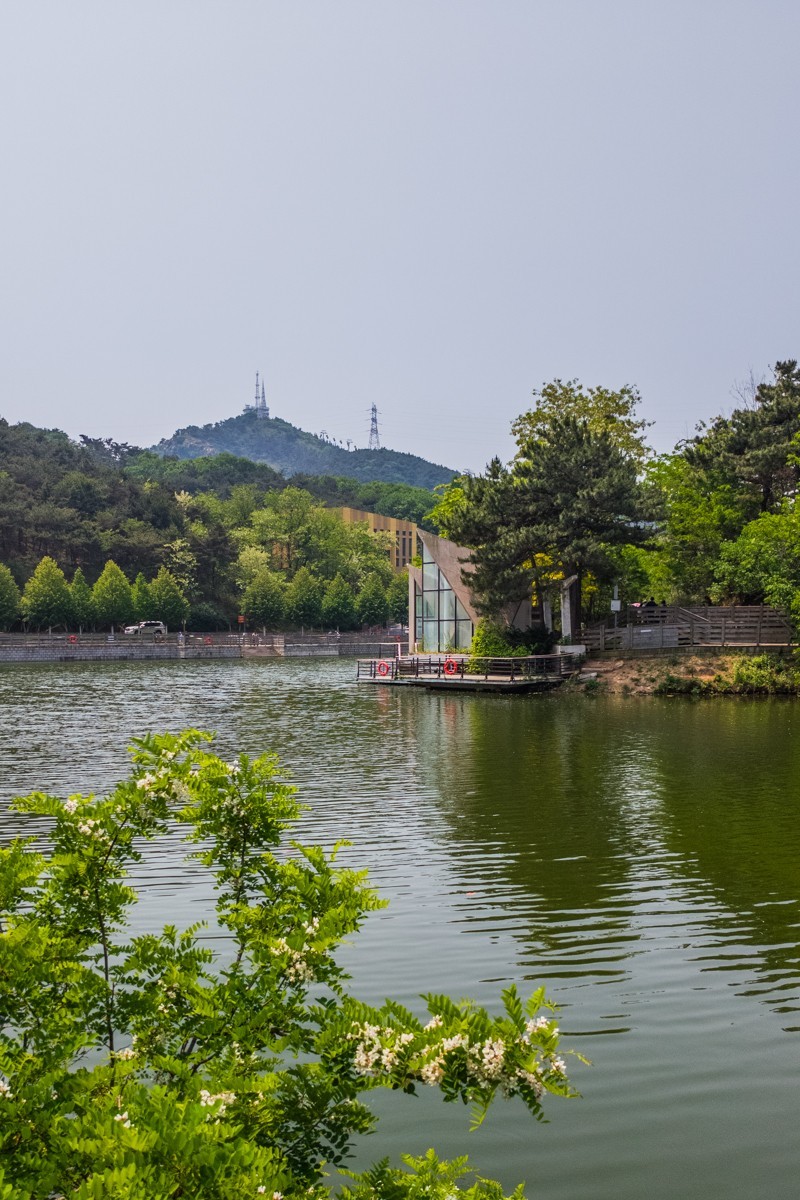 白 云 雁 水 随 拍