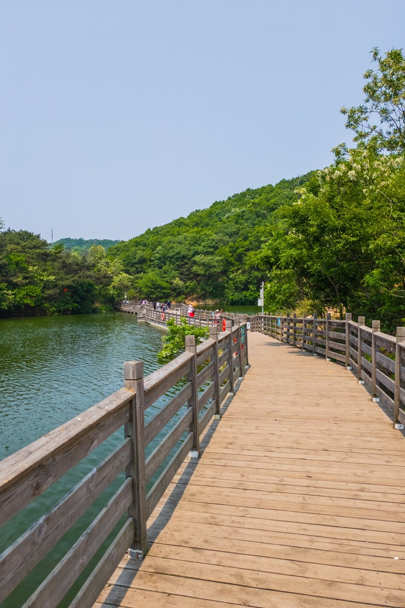 白 云 雁 水 随 拍