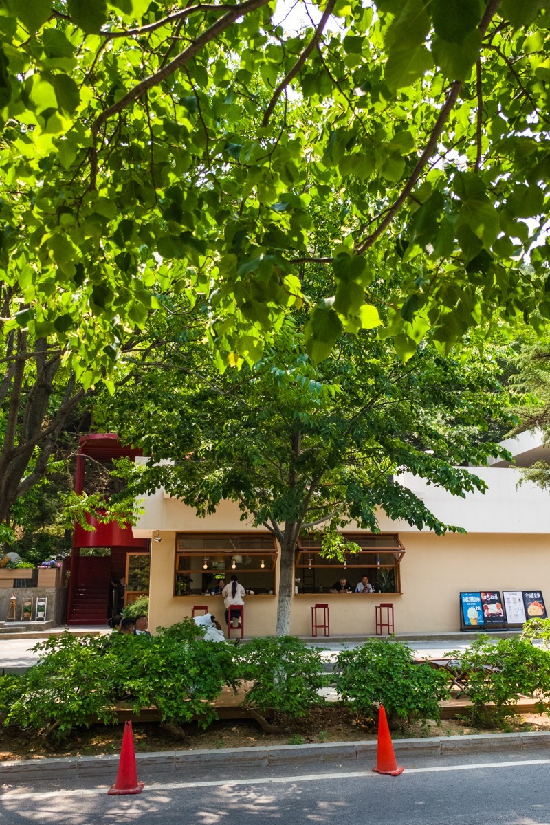 白 云 雁 水 随 拍