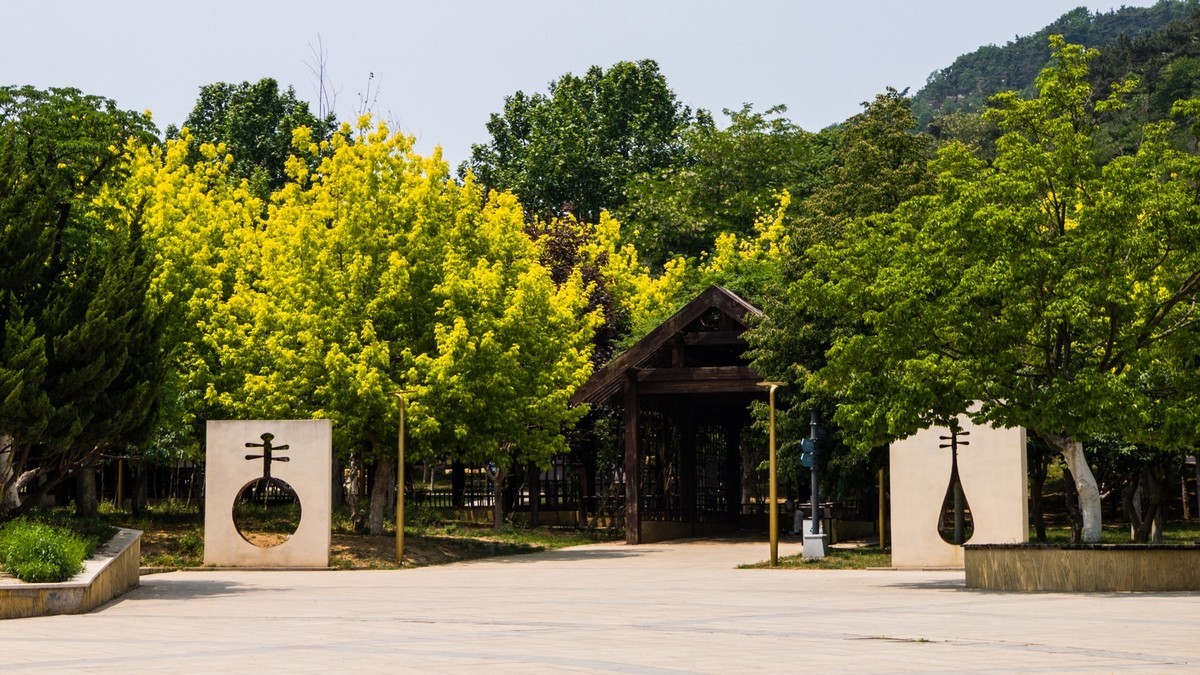 白 云 雁 水 随 拍