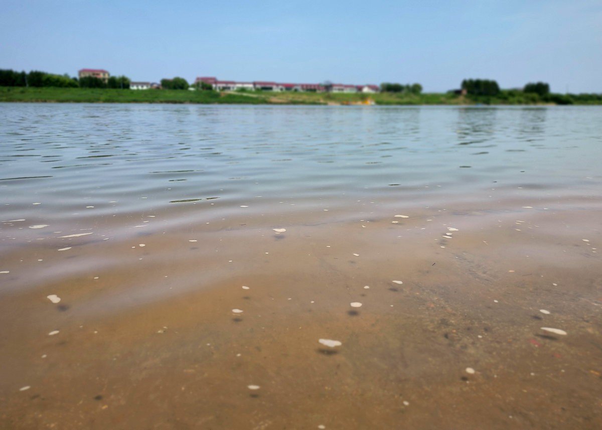 2025春夏之季 湘赣边（13）株洲挽洲岛