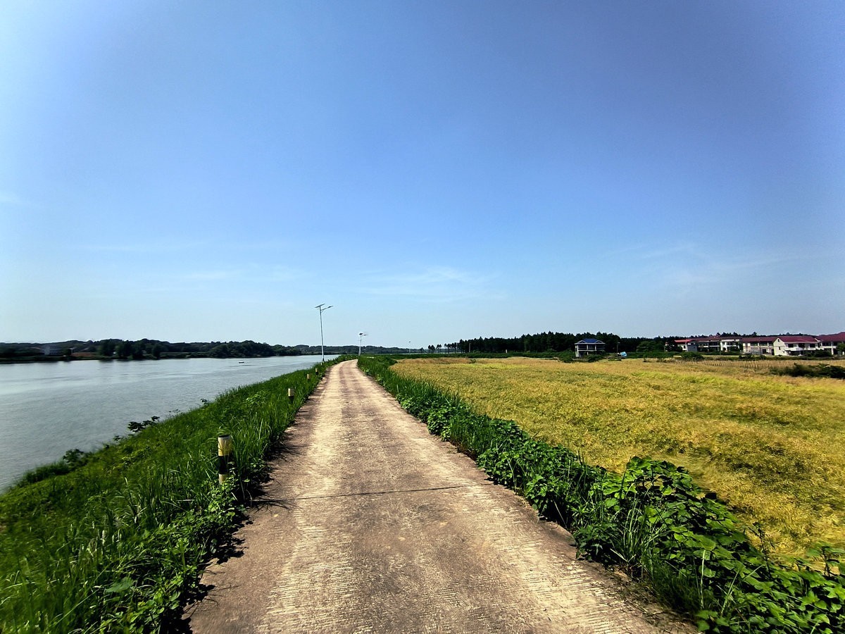 2025春夏之季 湘赣边（13）株洲挽洲岛