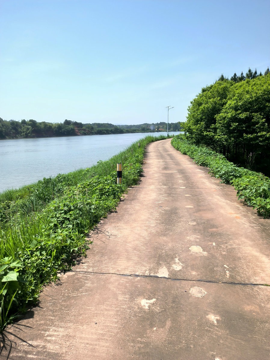 2025春夏之季 湘赣边（13）株洲挽洲岛