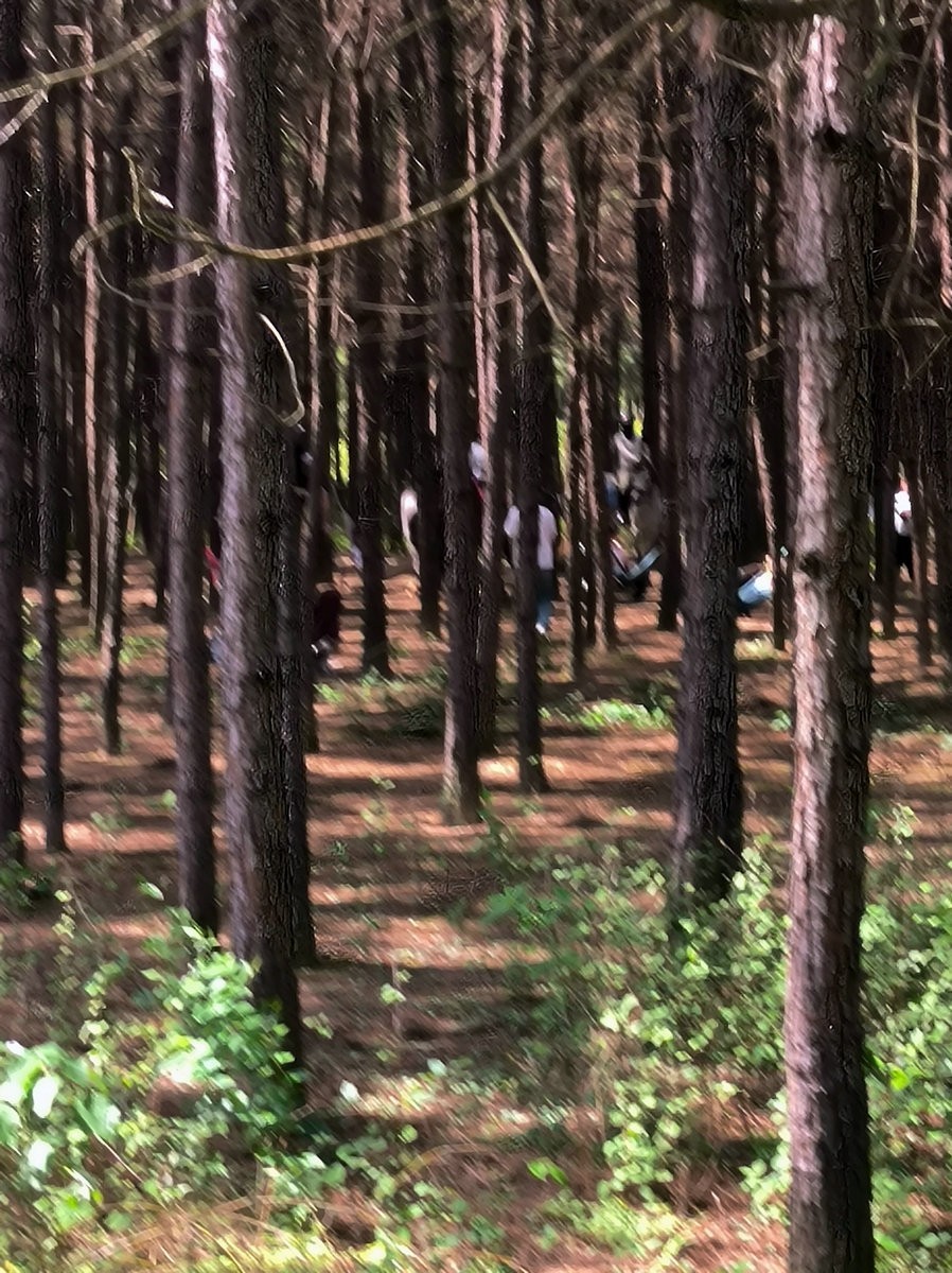 2025春夏之季 湘赣边（13）株洲挽洲岛