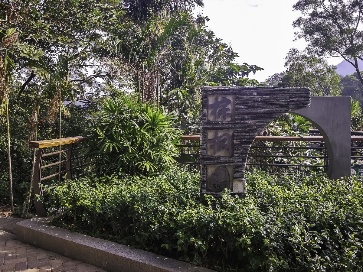 深圳仙湖植物园 ~ 掠影