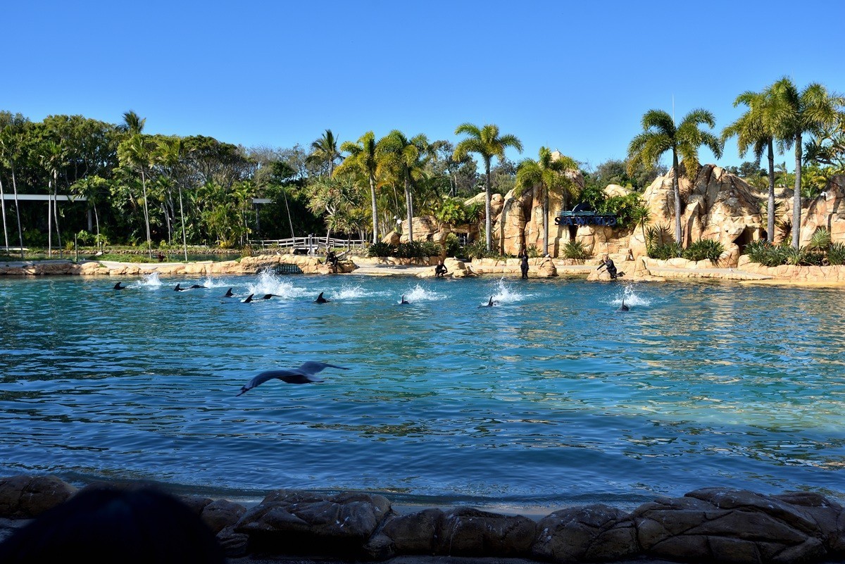 澳大利亚的黄金海岸  1/6