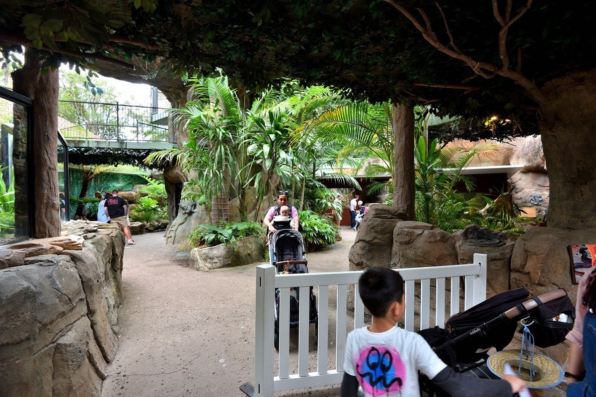 澳大利亚的黄金海岸  1/6